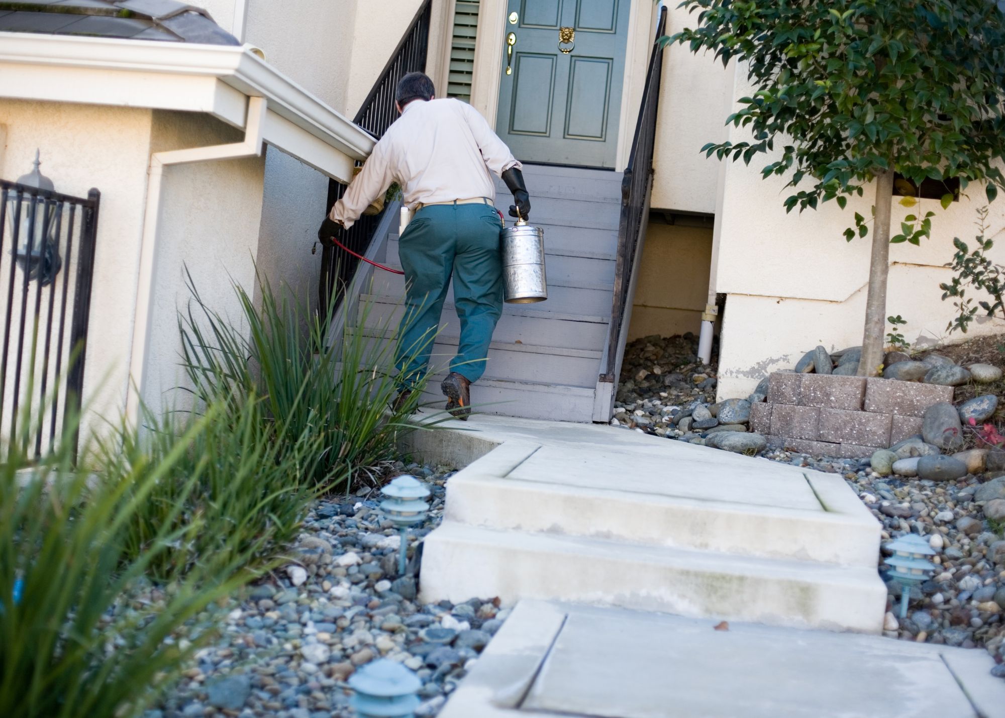 Home pest control Oviedo Florida
