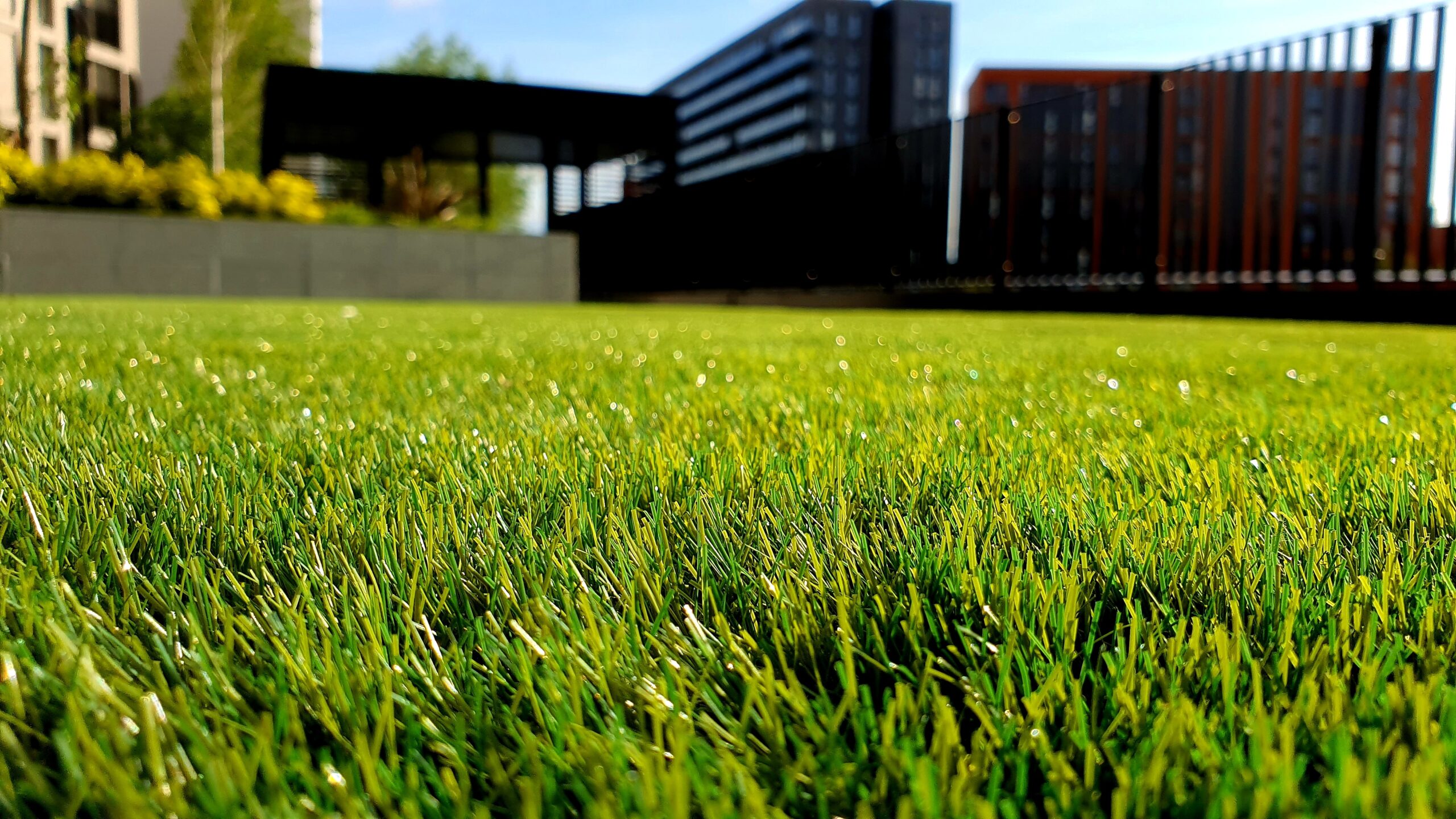 Oviedo Lawn Care